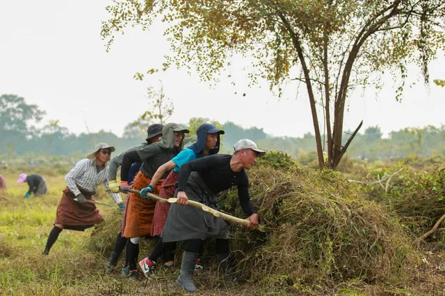 A line of people in traditional dress pulling cleared brush together