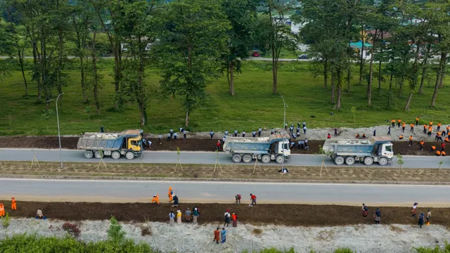 An aerial view of volunteers planting trees along a newly built road