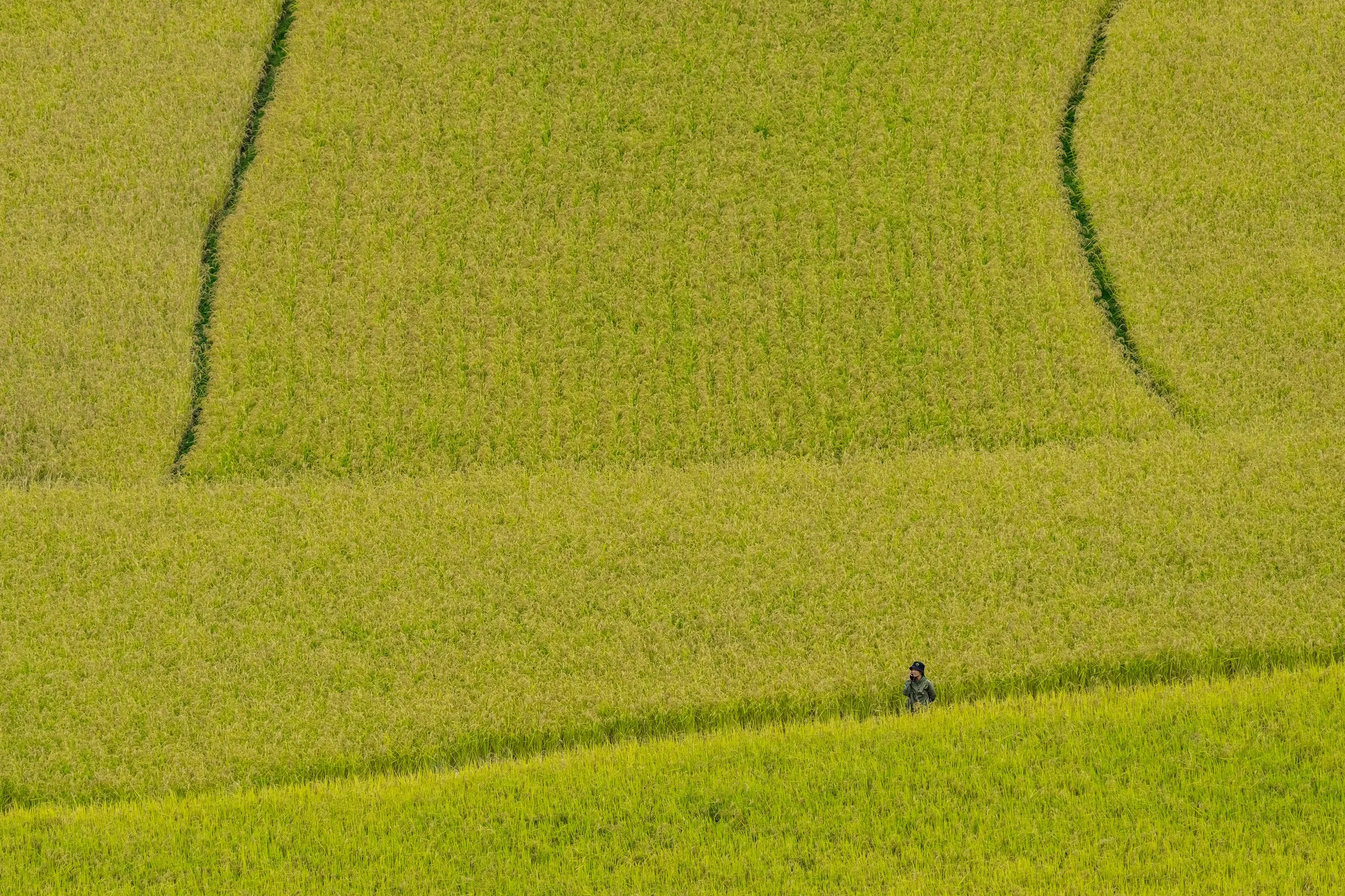People continuing a conversation together