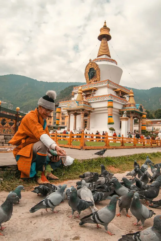 An elder feeding pigeons before the Memorial Chorten, Thimphu, Bhutan